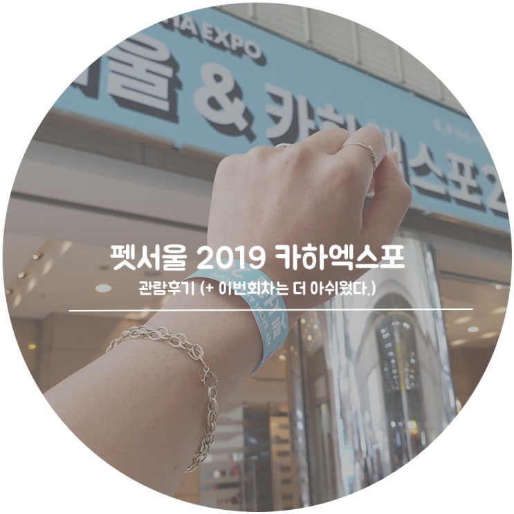  펫서울 2019 카하엑스포 꽁냥꽁냥 캣마켓 관람후기 - 이번회차는 더 아쉬웠다.