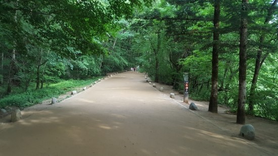 산책하기 좋은 평창 월정사 전나무숲길 산책하기 좋은 평창 월정사 전나무숲길