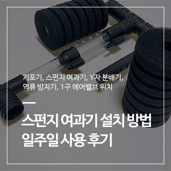  스펀지 여과기 설치 방법과 후기(아마존 SH-A3/XY-2831/Y자 분배기/1구 조절밸브/역류 방지기 위치)