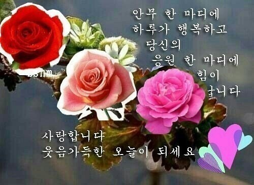  2019년공인중개사 원서 접수일정