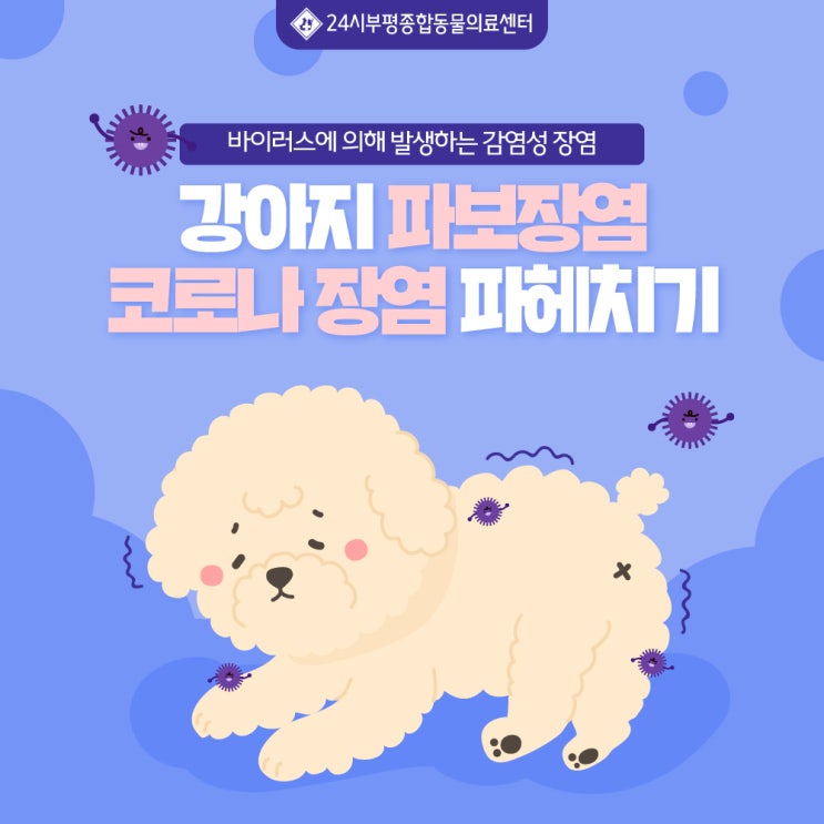  강아지 파보장염 코로나장염 파헤치기