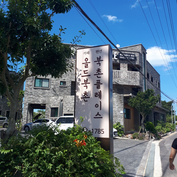  함덕 근처 북카페 올드북촌 정성이 가득한 공간