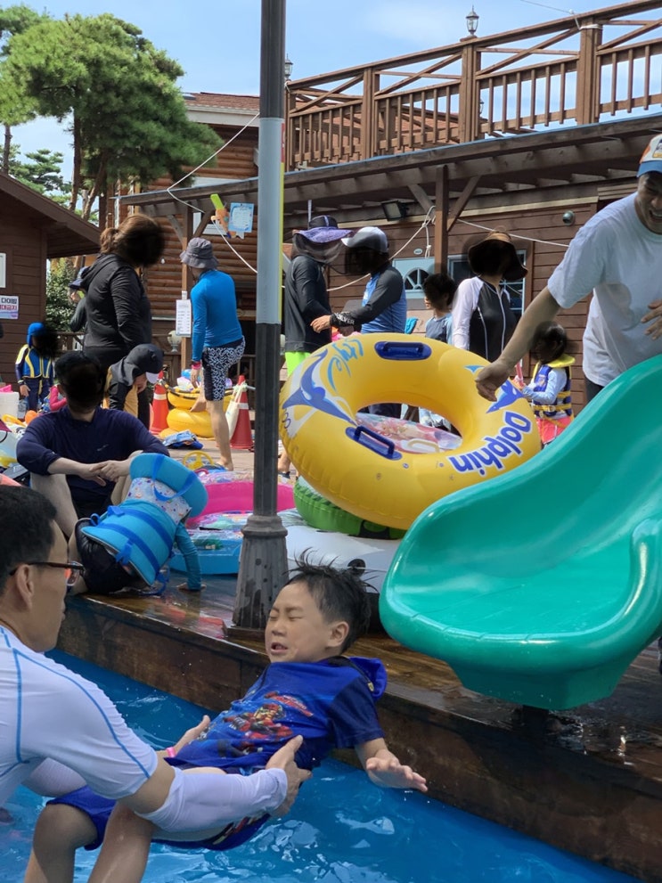  순간포착 세상에 이런일이