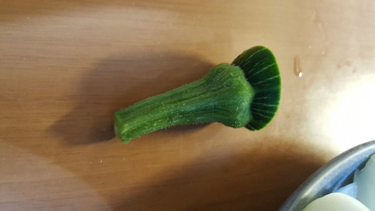  일본 불매운동