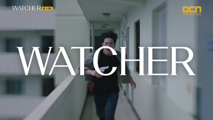 watcher(왓쳐) 11화 '장사회' 거북이는 도구일뿐 watcher(왓쳐) 11화 '장사회' 거북이는 도구일뿐