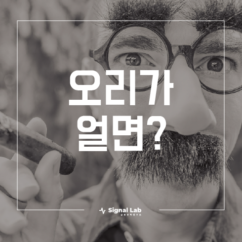  원 달러 환율, 증시점검, 일본 경제보복, 화이트리스트 현황 정보 확인!!