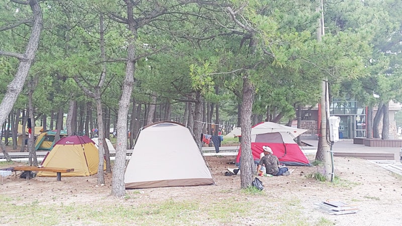 낙산오토캠핑장 해변야영장 캠린이 캠핑초보자 준비물