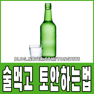  술먹고 토할거같을때 토안하는법 3가지 알아보기