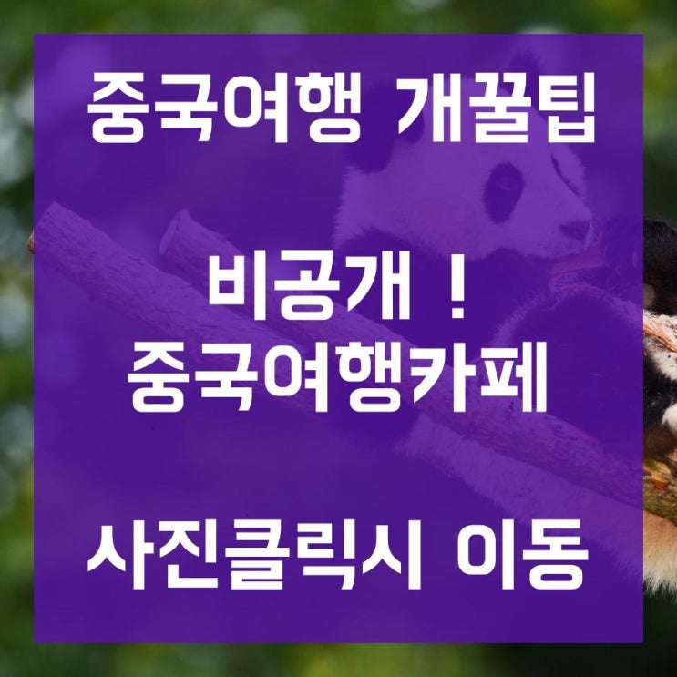  중국여행정보얻기