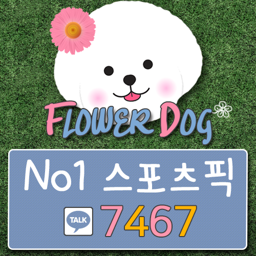  8월12일 LA다저스 애리조나 피츠버그 MLB분석