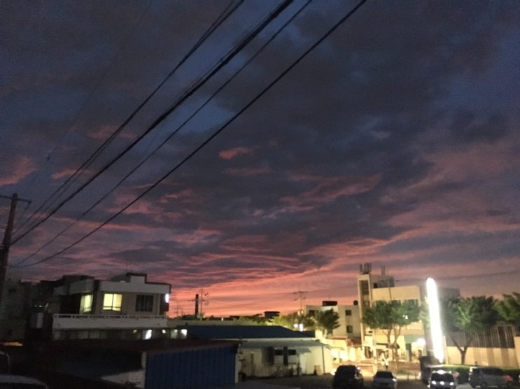  오전수련. 의식적 밀어붙임과 유연해지는법. 190812