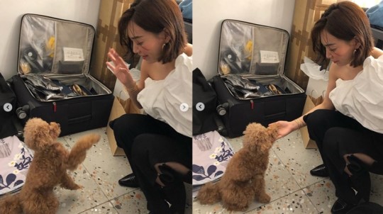 ‘김우빈’ 신민아, 촬영 현장에 나타난 깜짝 손님 공개 ‘김우빈’ 신민아, 촬영 현장에 나타난 깜짝 손님 공개