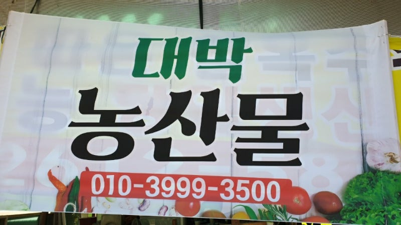 강원도찰옥수수 택배, 농장직거래, 찰옥수수산지직송,옥수수 삶는법,옥수수 효능, 찰옥수수....