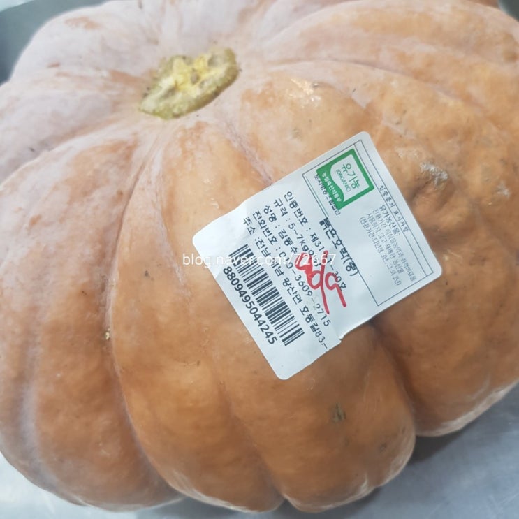  부천수제이유식전문점 8월 제철친환경 이유식재료 (아기숟가락본점)