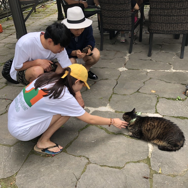  너무 행복했어서 먼저올려버리는 8월의 경남산청