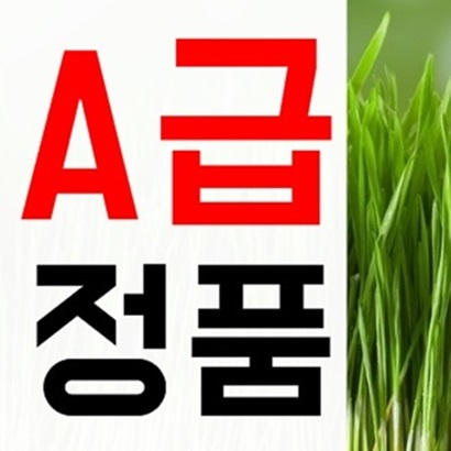  새싹귀리분말 효능 부작용 귀리가루 먹는법 알아보자