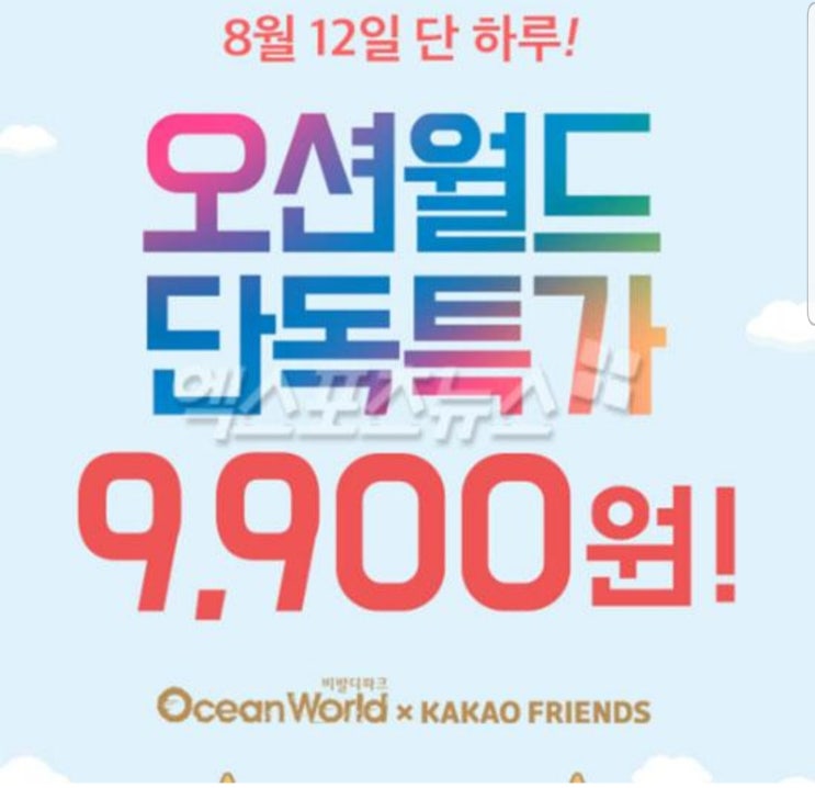 위메프투어 오션월드 9900원 특가…구매 방법은?