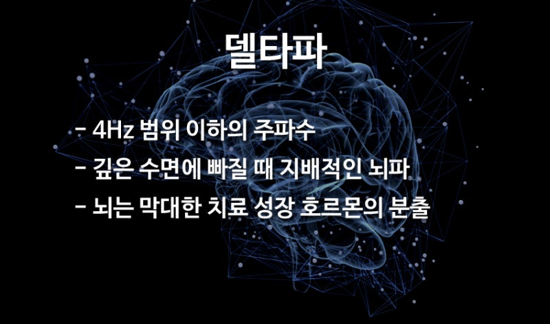 뇌파 종류와 기능(델타파, 세타파, 알파파, 베타파, 감마파) : 네이버 블로그 뇌파 종류와 기능(델타파, 세타파, 알파파, 베타파, 감마파) : 네이버 블로그
