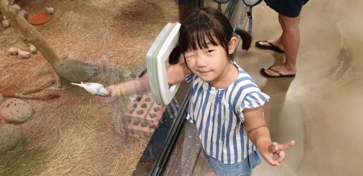  영어일기 영작 7th. August 2019