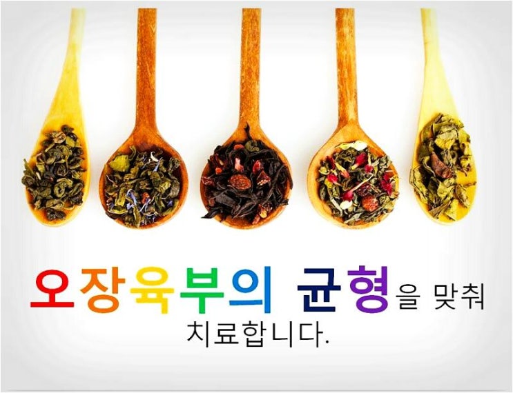 음식이 곧 나의건강 음식이 곧 나의건강