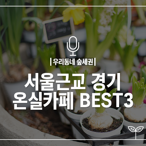 다양한 식물과 즐기는 티타임, 서울근교 온실카페 BEST3