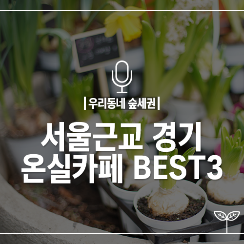  다양한 식물과 즐기는 티타임, 서울근교 온실카페 BEST3