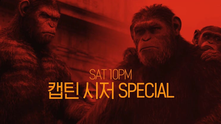 SAT10PM 캡틴 시저 SPECIAL | [혹성탈출: 반격의 서막 X 혹성탈출: 종의 전쟁] 8/17 (토) 저녁 8시 채널CGV