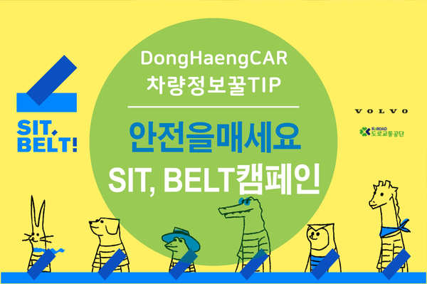  함께하는 안전벨트 캠페인 안전을매세요!!