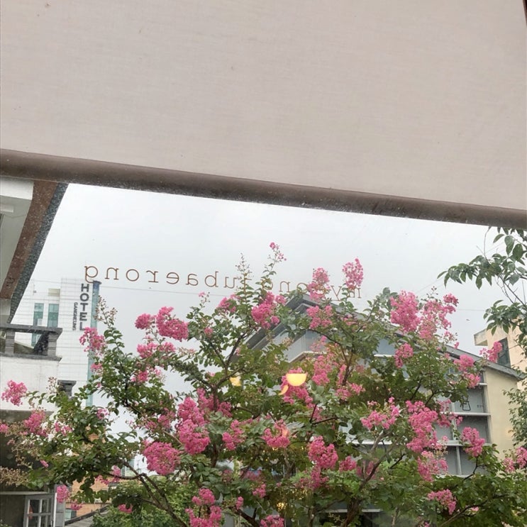  일상 22