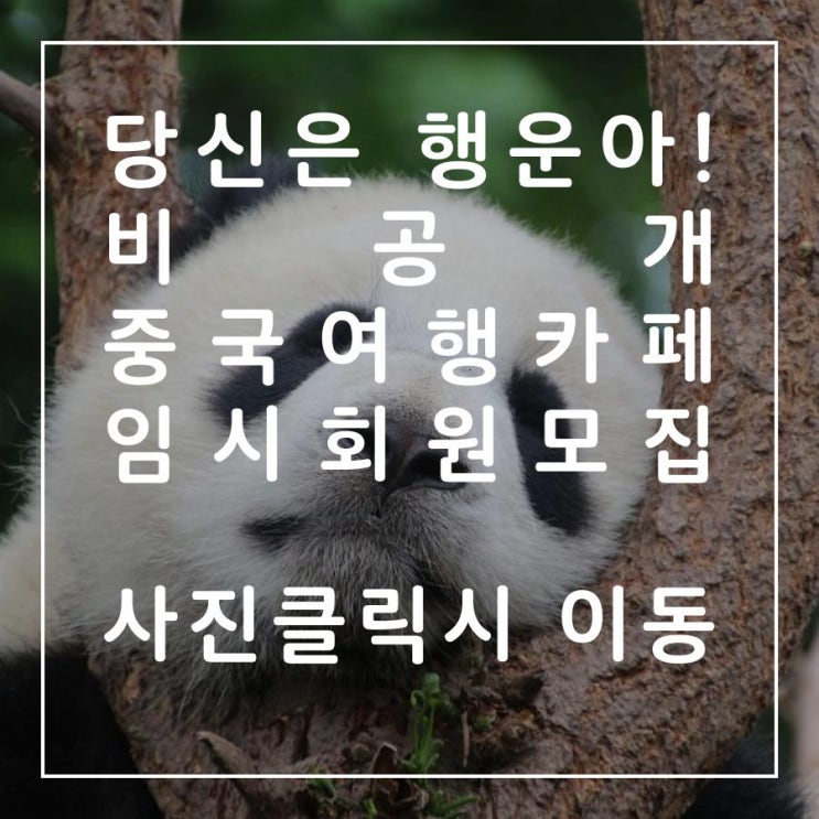  중국여행정보찾고있어?드루아