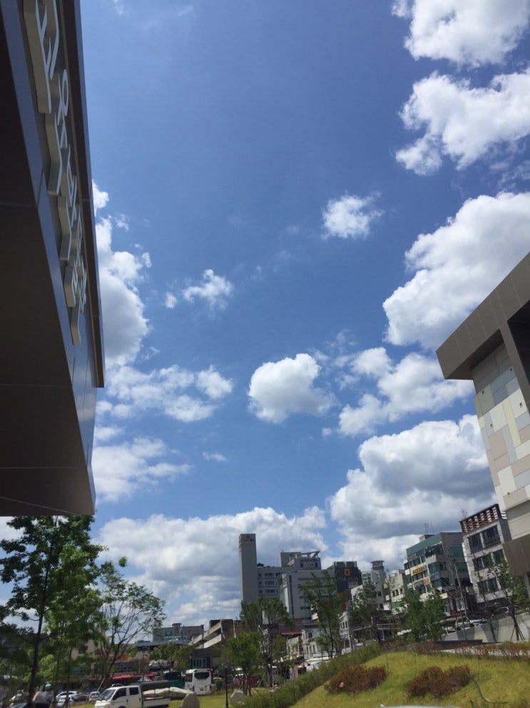  다시 서울살이 시작