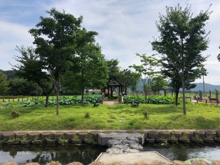 8월 첫번째 일상
