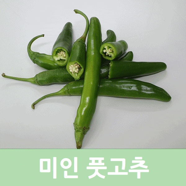  미인풋고추효능 천연인슐린 여름철 당뇨관리 미인풋고추