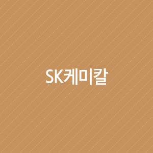  SK케미칼 : 대내외 악재 속 실적 선방