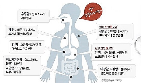  손범수암보험 마지막기회