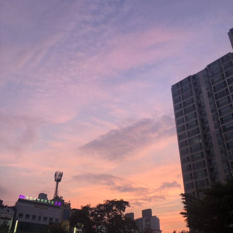  7월과8월 그 사이