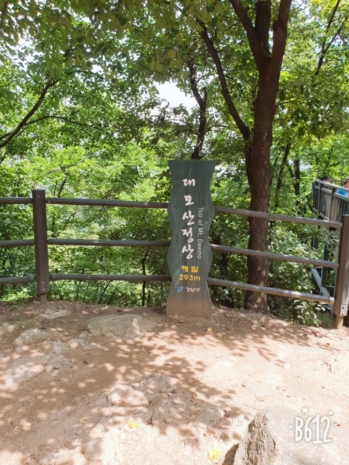  여름등산!대모산등산!