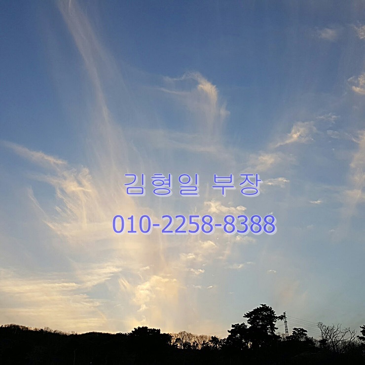  국내, 국외 부동산 뉴스