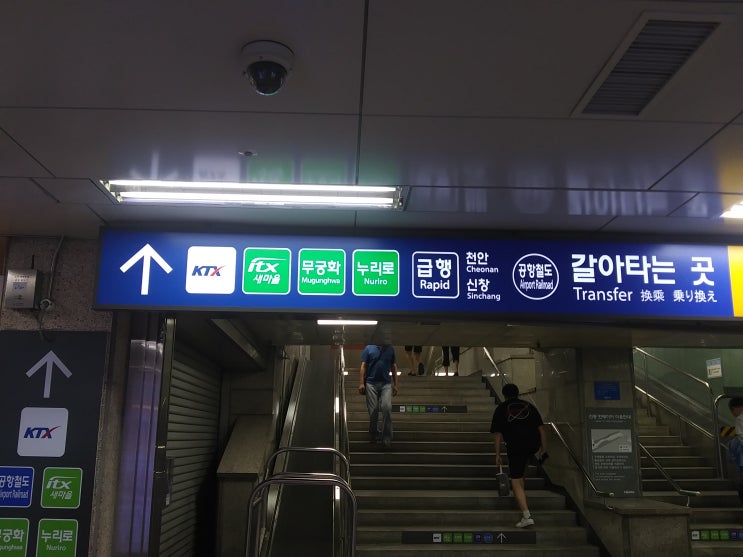  관광열차 탑승후기(O트레인)