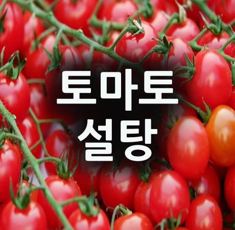 토마토설탕뿌리면 효능은 어떨까?