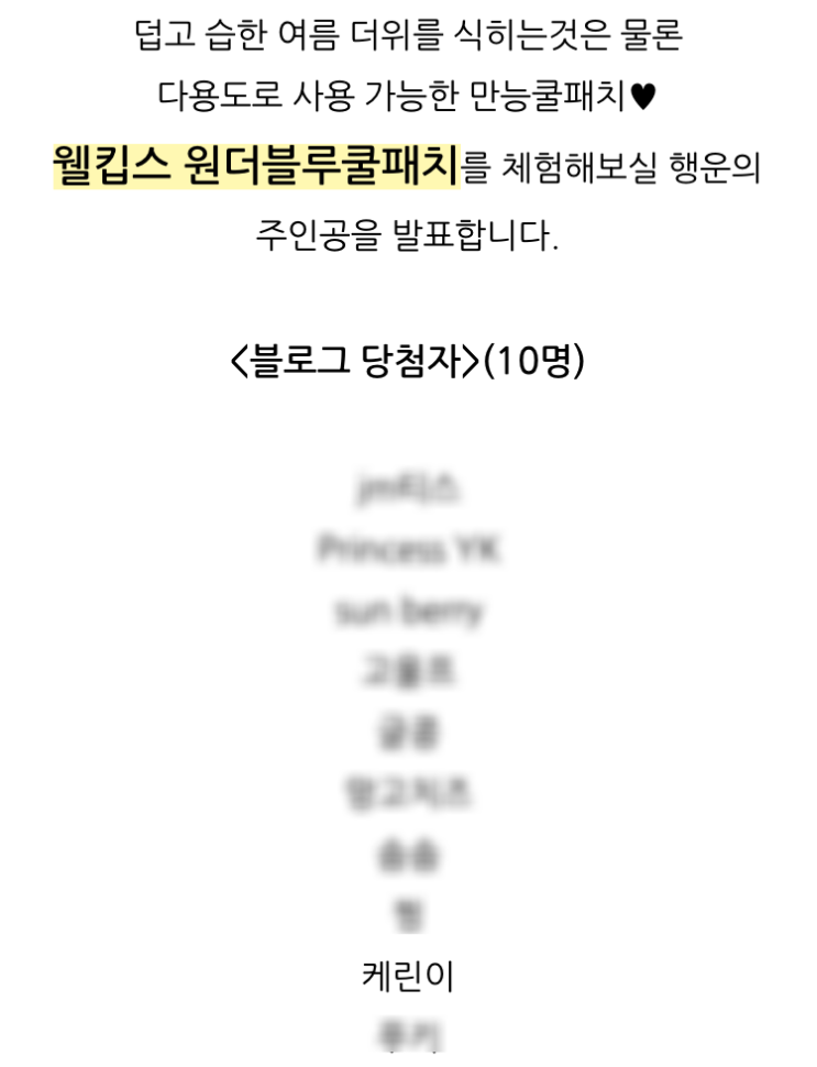  #체험단)) 웰킵스 원더블루쿨패치