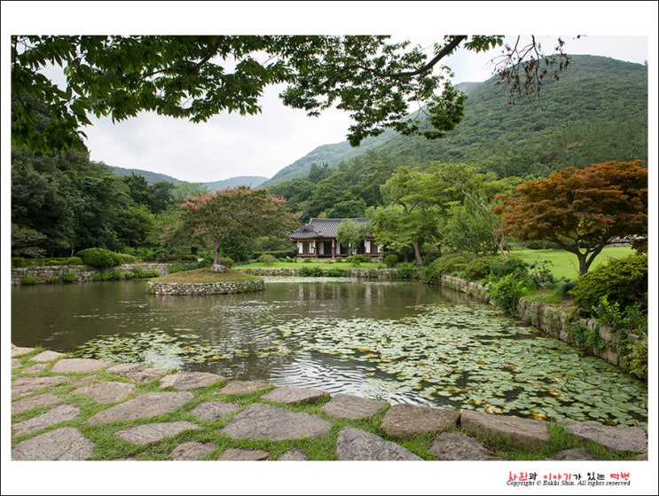  [전남 진도] 운림산방(雲林山房), 구름을 거닐다