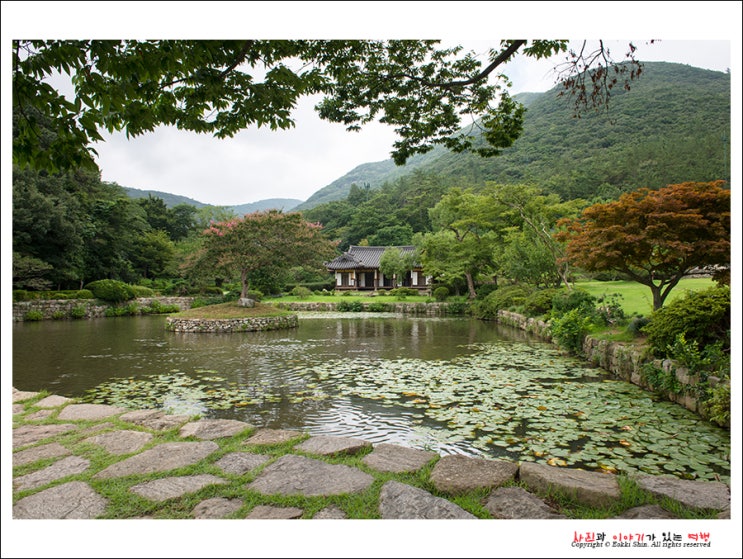 [전남 진도] 운림산방(雲林山房), 구름을 거닐다