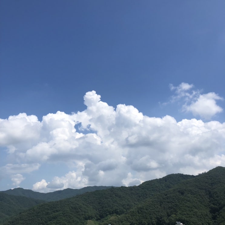  8.2
