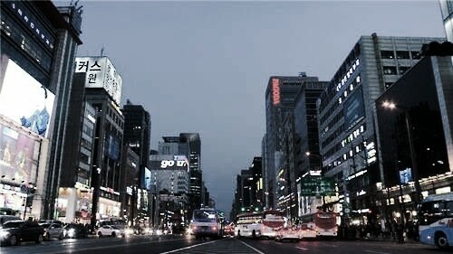  맥도날드에 대한 명상 / 세상물정의 사회학 - 노명우