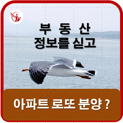  아파트 로또 분양???