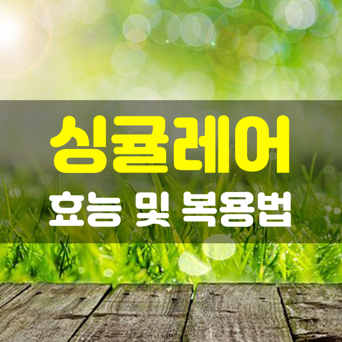  유아천식,알러지싱귤레어 세립 효능 및 복용법