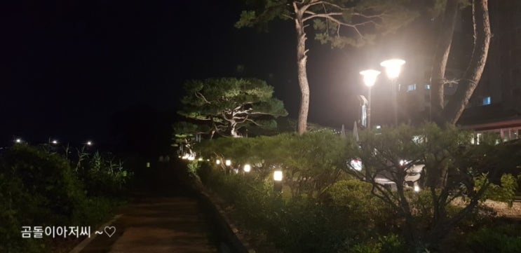  양평양수리 베이커리카페 리노에서 밤풍경과 함께 차한잔 즐겼어요