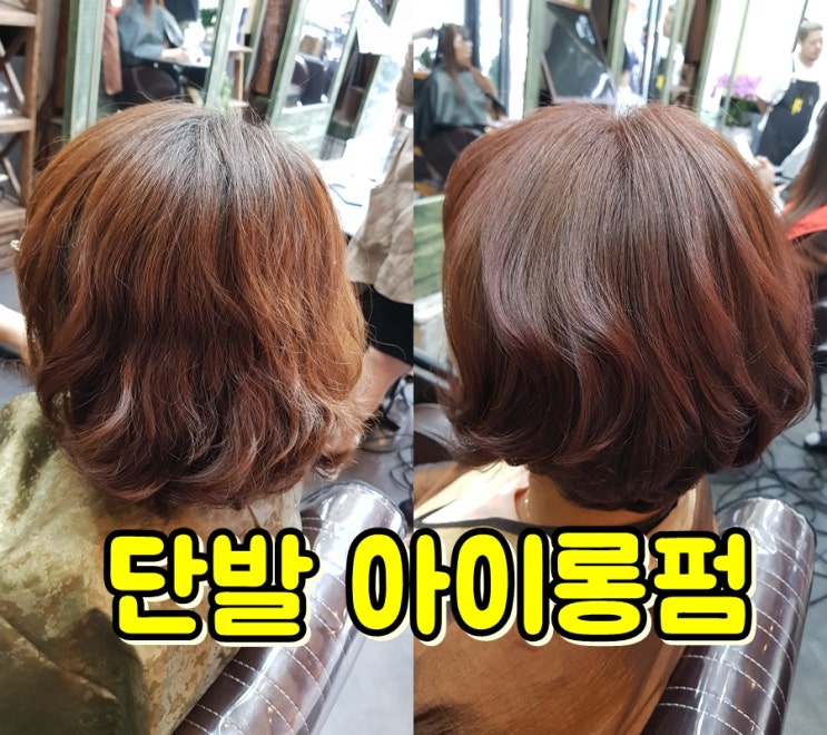  50대 여성 단발머리 헤어 스타일, 파마 염색 순서