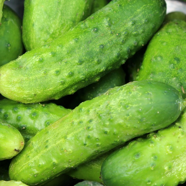  오이꿈 고추꿈 상추꿈 깻잎꿈